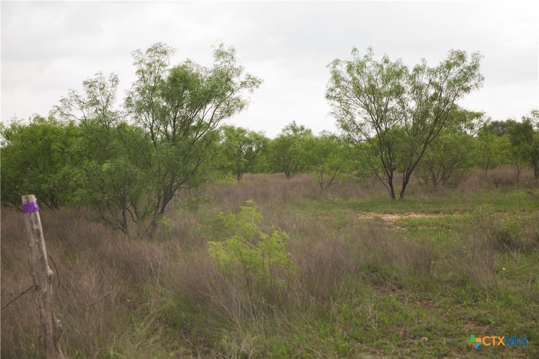 20.02 acres in Lampasas County - photo 13