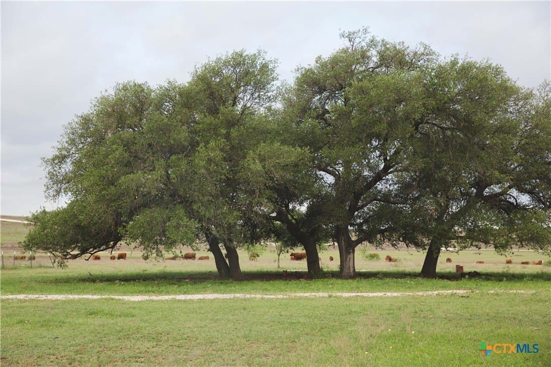 20.02 acres in Lampasas County - photo 20