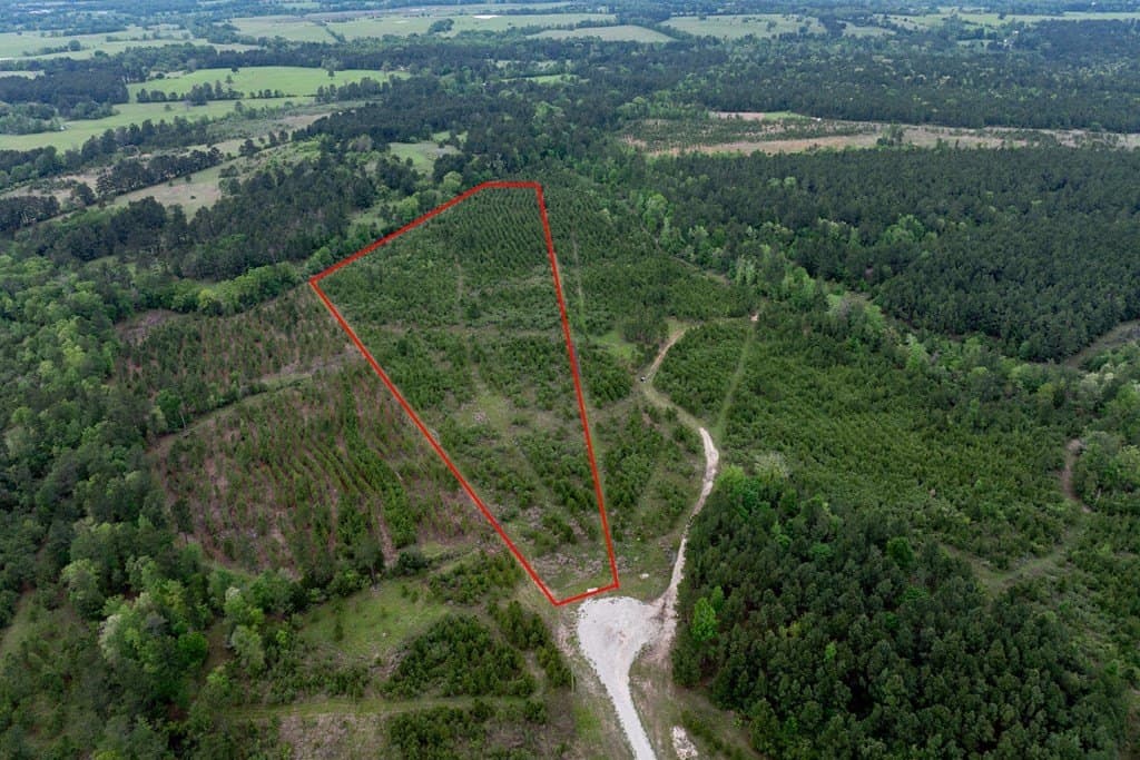 10.01 acres in HOUSTON County - photo 17