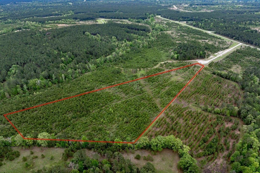 10.01 acres in HOUSTON County - photo 11