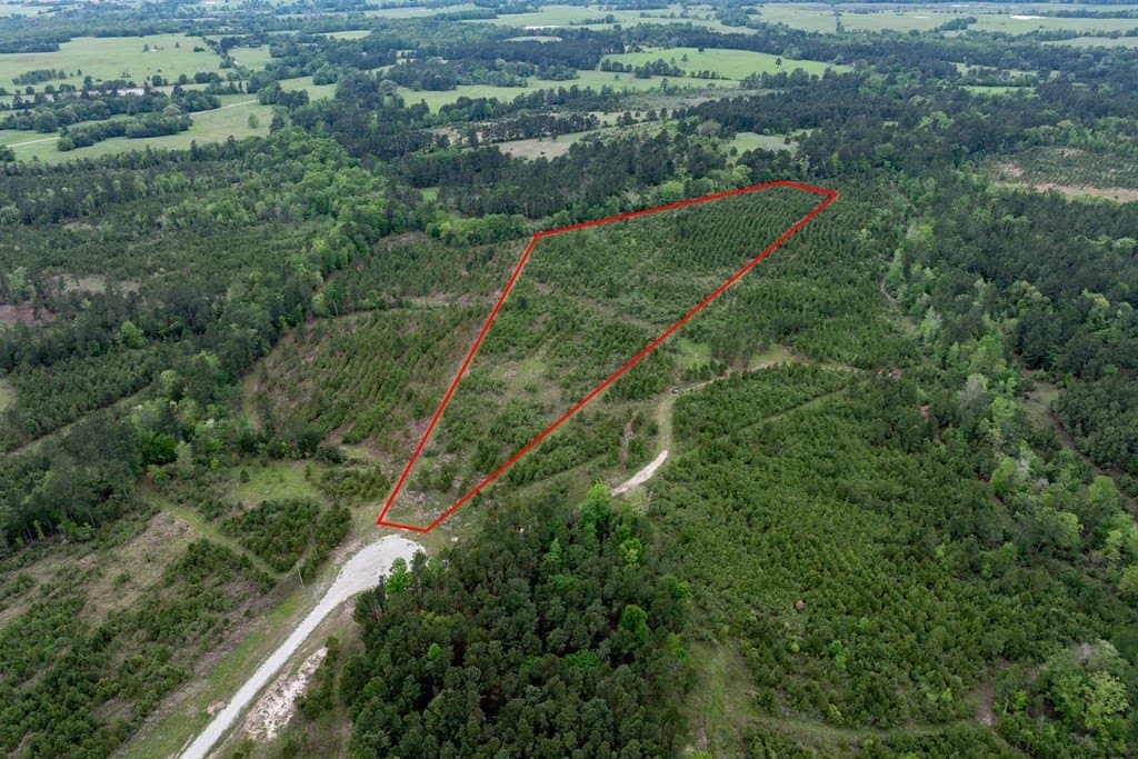 10.01 acres in HOUSTON County - photo 19