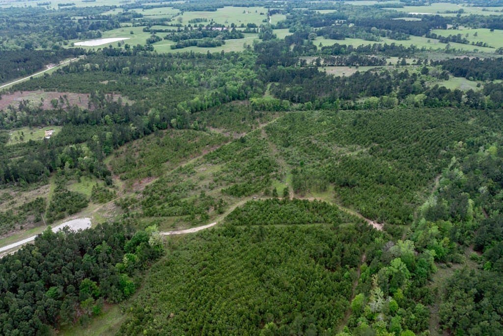 10.01 acres in HOUSTON County - photo 22