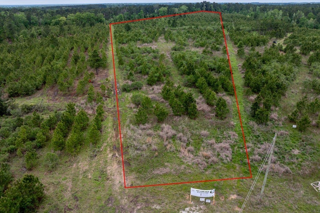 10.01 acres in HOUSTON County - photo 4