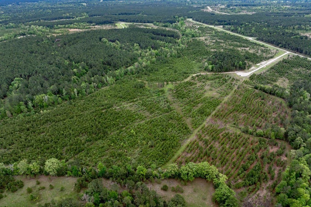 10.01 acres in HOUSTON County - photo 12