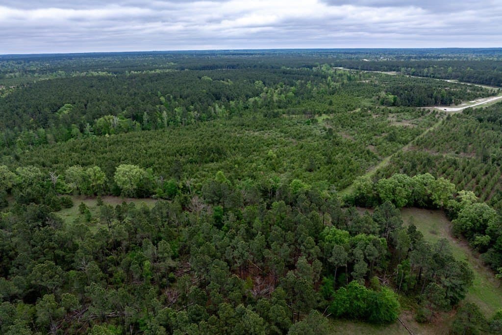 10.01 acres in HOUSTON County - photo 10