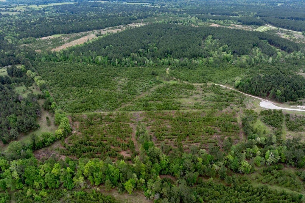 10.01 acres in HOUSTON County - photo 14