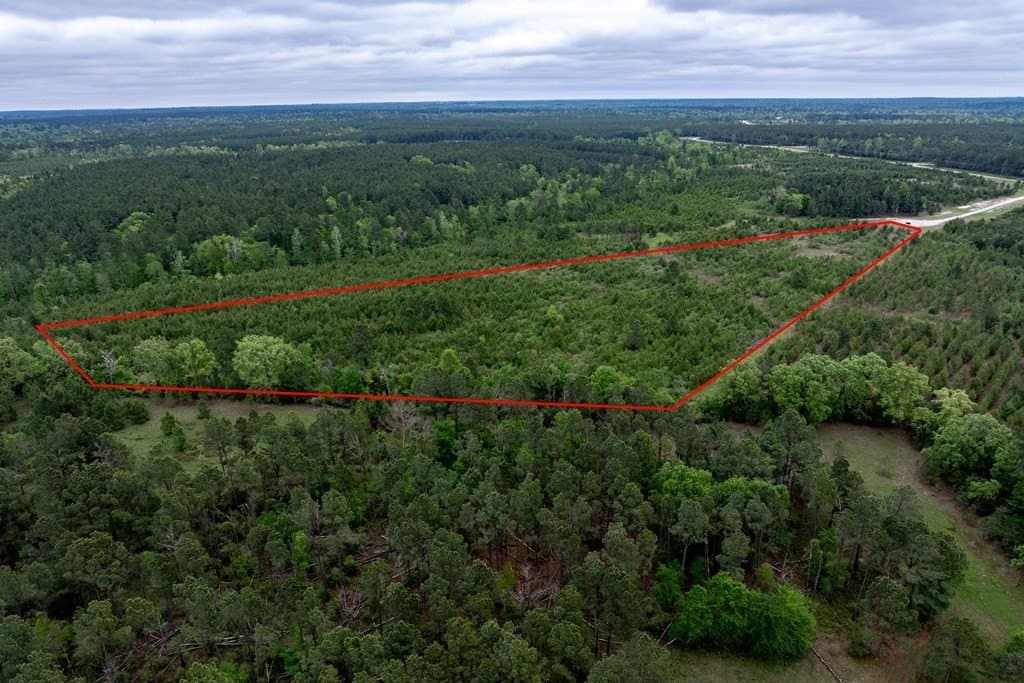 10.01 acres in HOUSTON County - photo 9