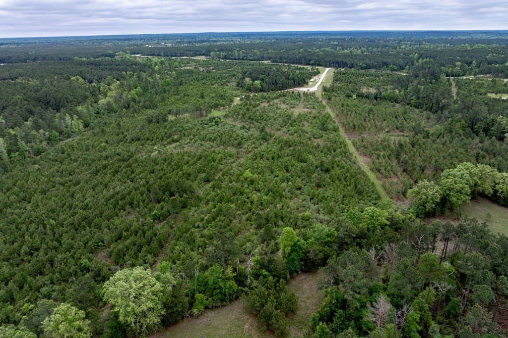 10.01 acres in HOUSTON County - photo 8