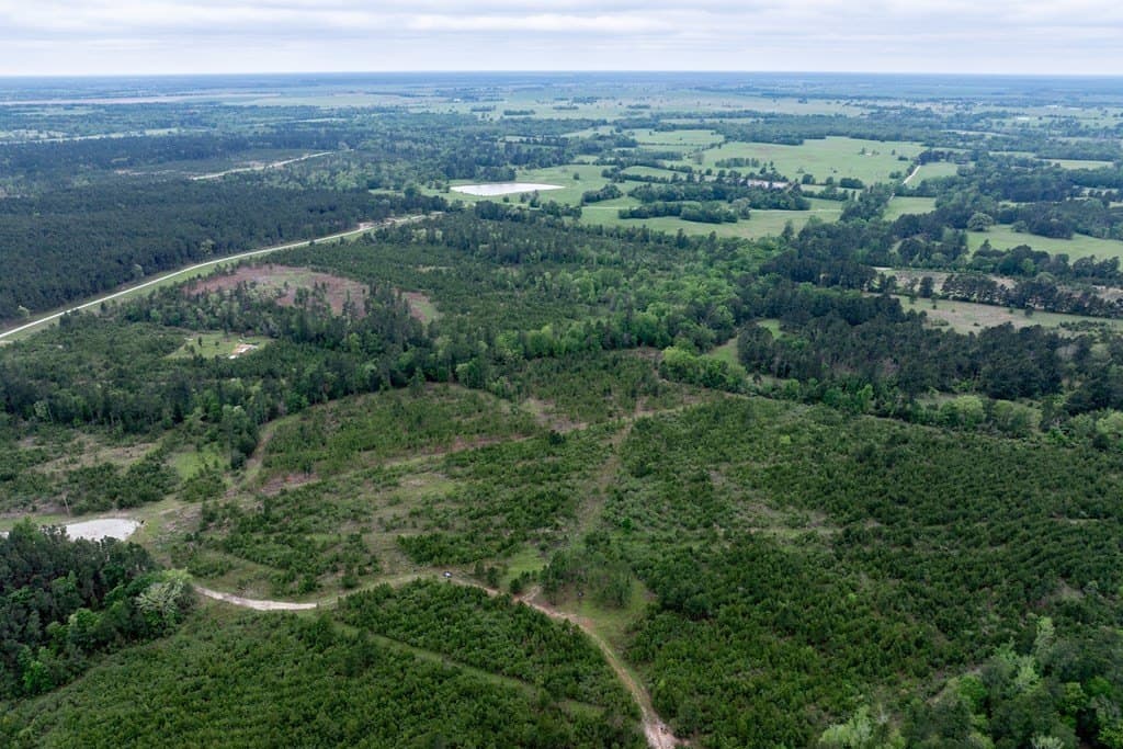 10.01 acres in HOUSTON County - photo 24