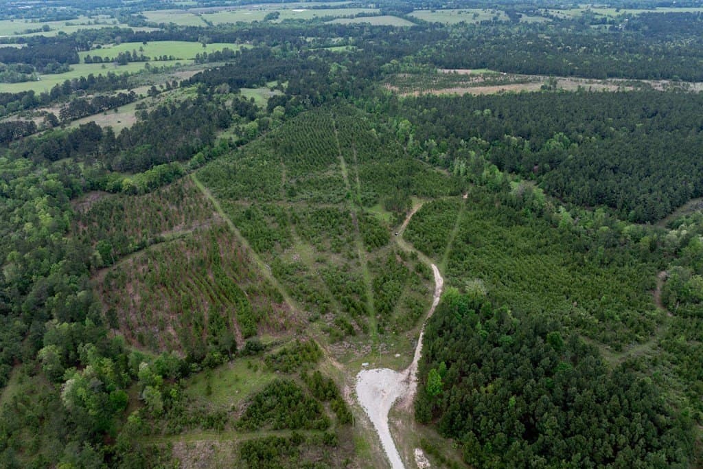 10.01 acres in HOUSTON County - photo 18