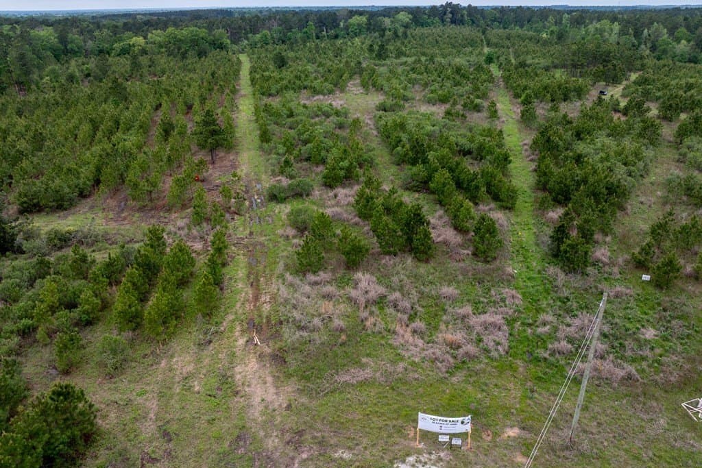 10.01 acres in HOUSTON County - photo 5