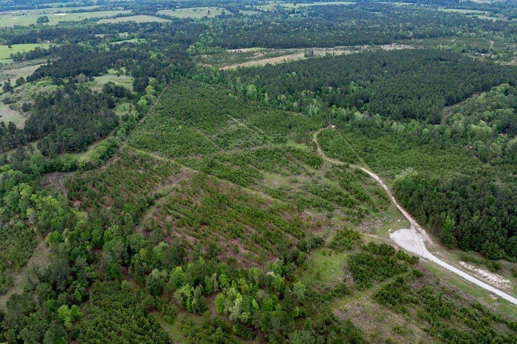 10.01 acres in HOUSTON County - photo 16