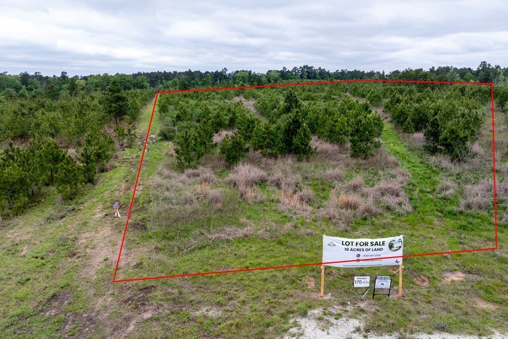 10.01 acres in HOUSTON County - photo 2