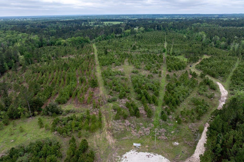 10.01 acres in HOUSTON County - photo 7