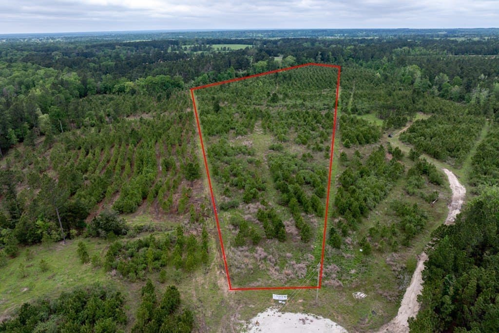 10.01 acres in HOUSTON County - photo 6