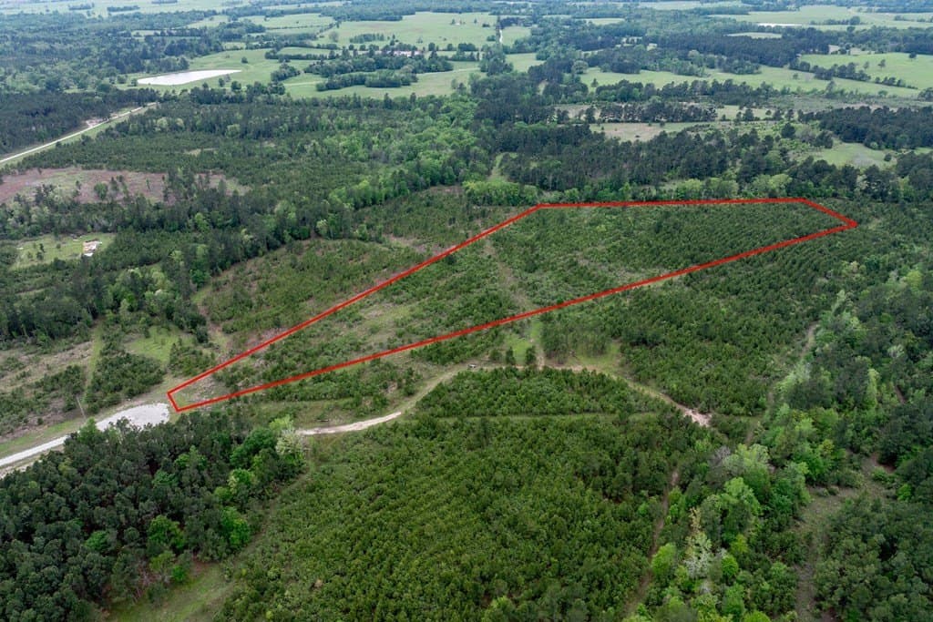10.01 acres in HOUSTON County - photo 21