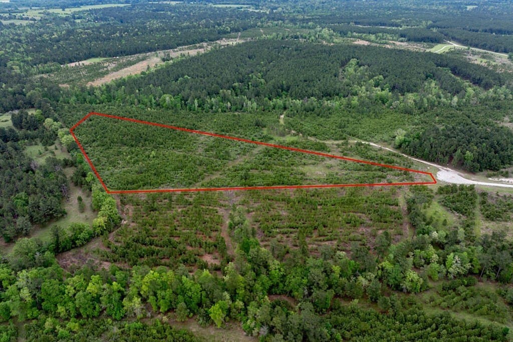 10.01 acres in HOUSTON County - photo 13