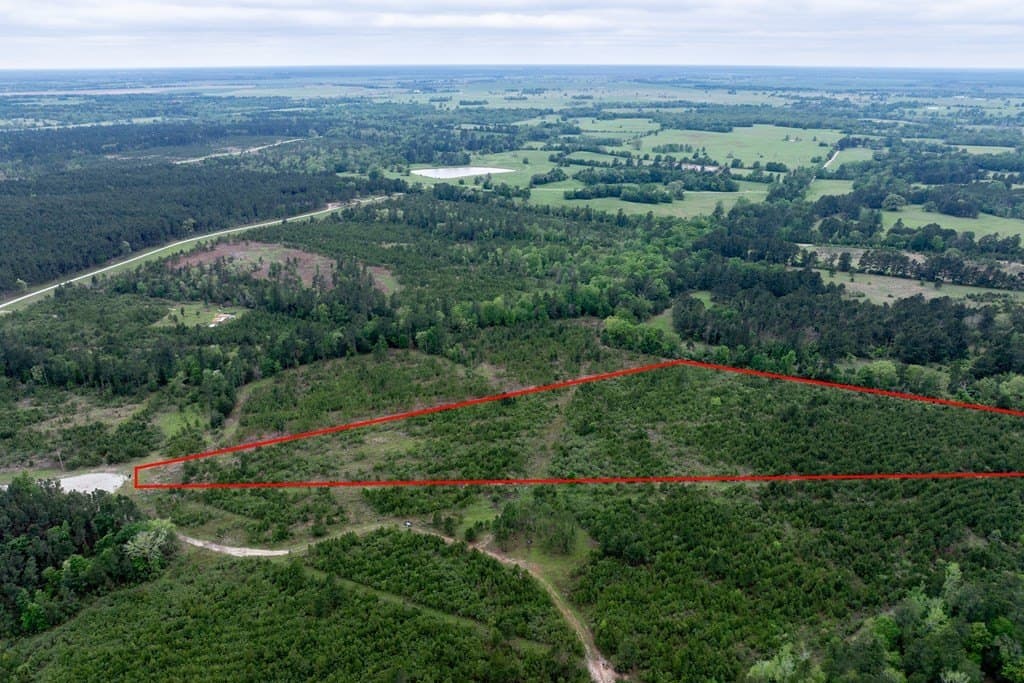 10.01 acres in HOUSTON County - photo 23