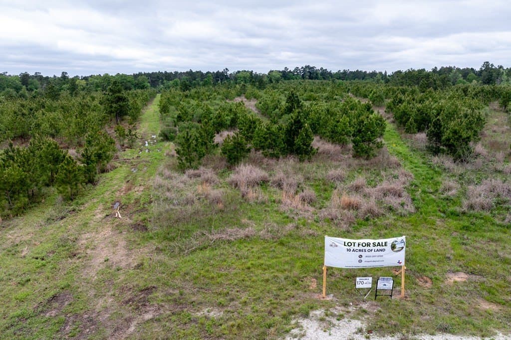 10.01 acres in HOUSTON County - photo 3