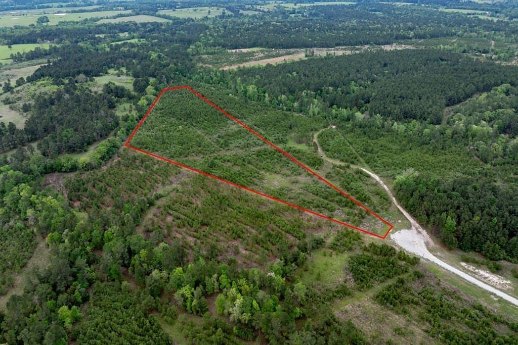10.01 acres in HOUSTON County - photo 15