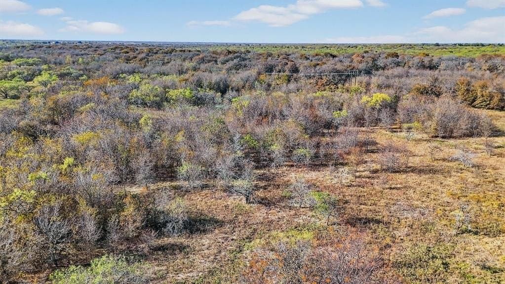 195.55 acres in Grayson County - photo 32