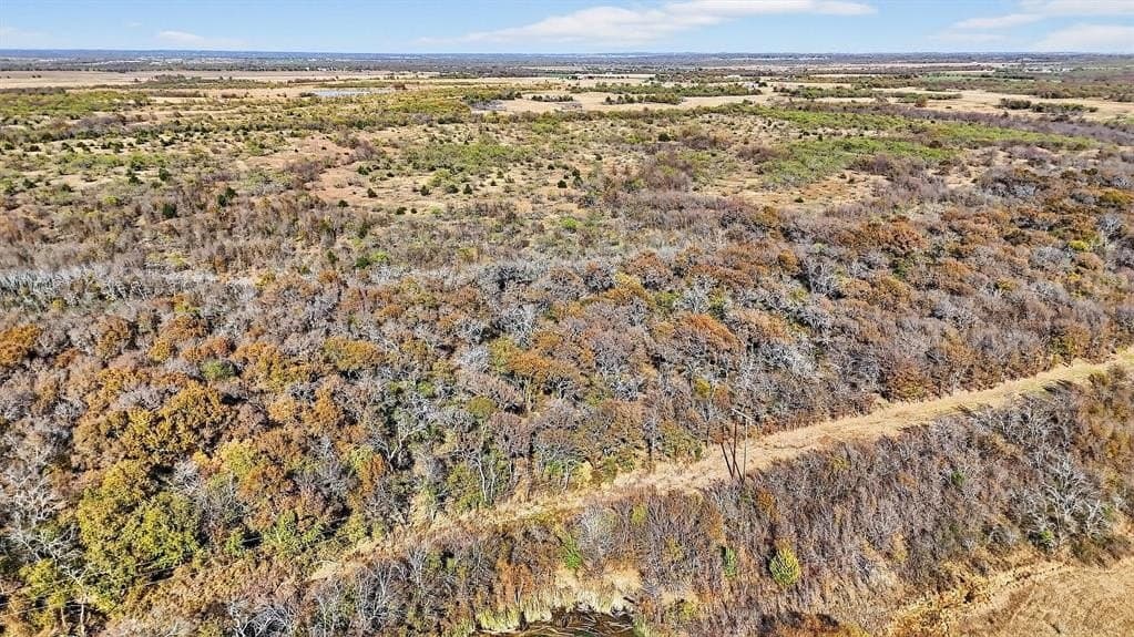 195.55 acres in Grayson County - photo 5