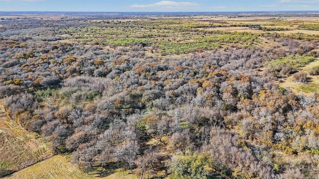 195.55 acres in Grayson County - photo 33