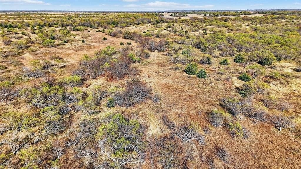195.55 acres in Grayson County - photo 22