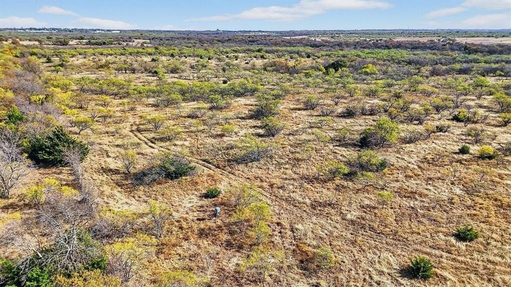 195.55 acres in Grayson County - photo 19