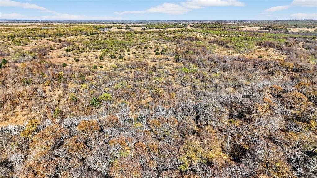 195.55 acres in Grayson County - photo 7