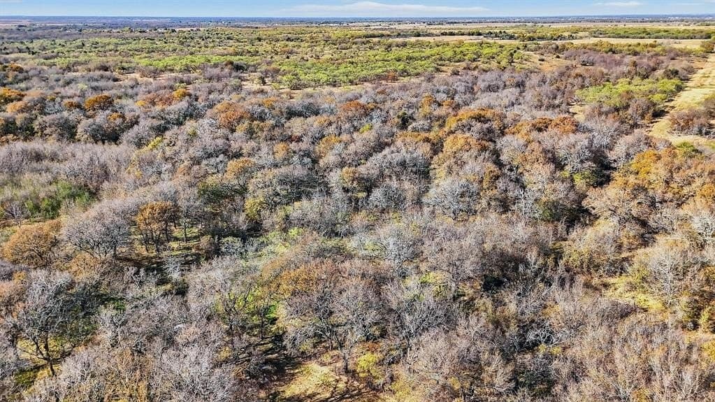 195.55 acres in Grayson County - photo 34