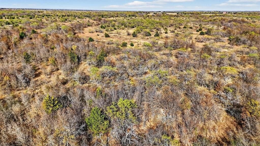 195.55 acres in Grayson County - photo 23