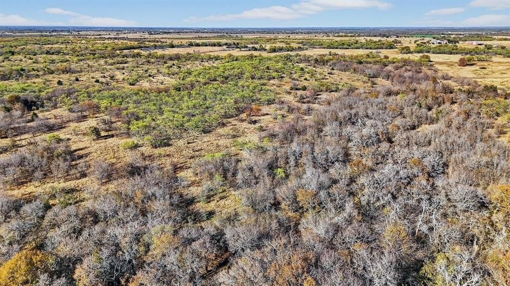 195.55 acres in Grayson County - photo 37
