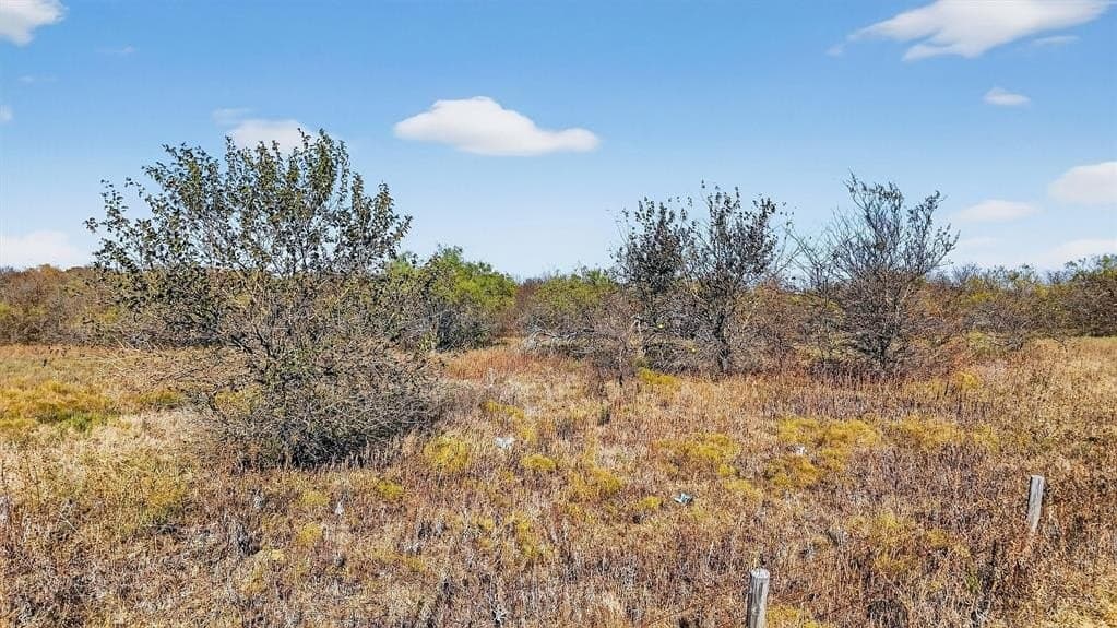 195.55 acres in Grayson County - photo 25