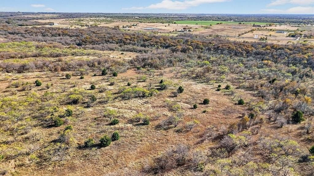 195.55 acres in Grayson County - photo 21
