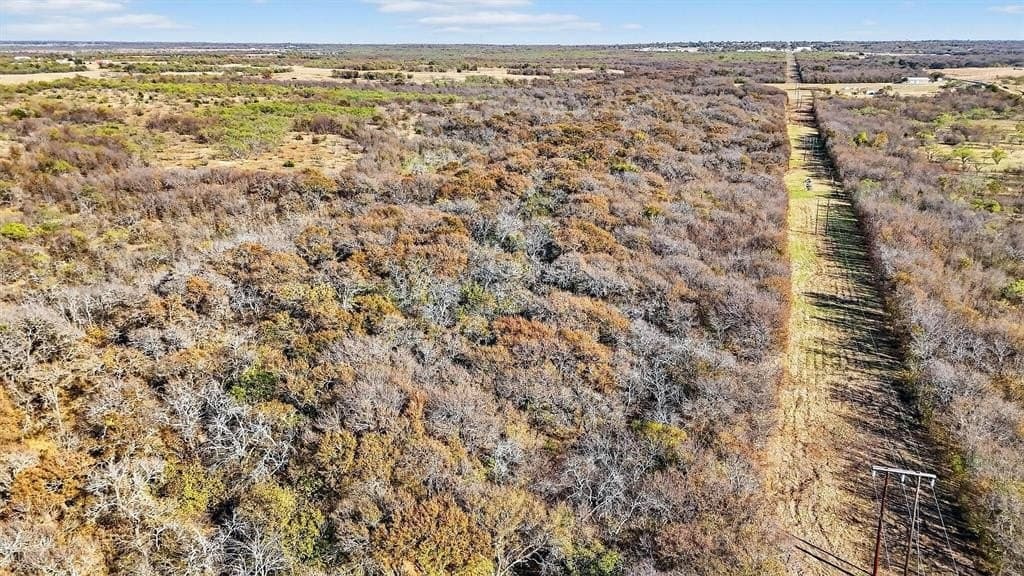 195.55 acres in Grayson County - photo 6