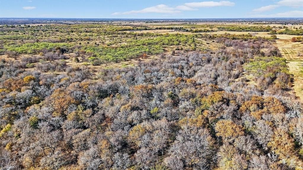 195.55 acres in Grayson County - photo 36