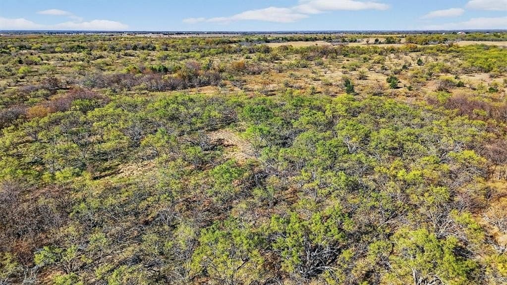 195.55 acres in Grayson County - photo 40