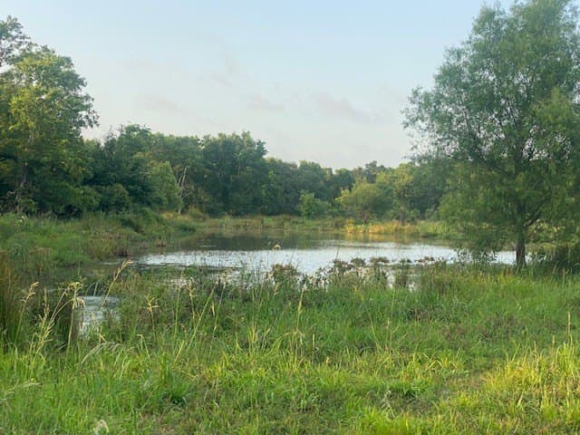 481.1 acres in Texas County - photo 18