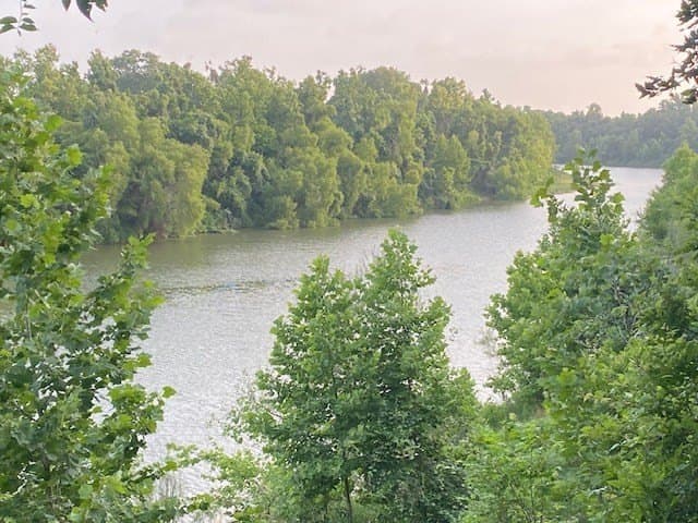 481.1 acres in Texas County - photo 39