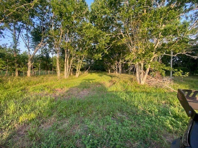 481.1 acres in Texas County - photo 22