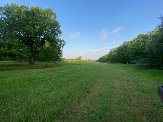 481.1 acres in Texas County - photo 23