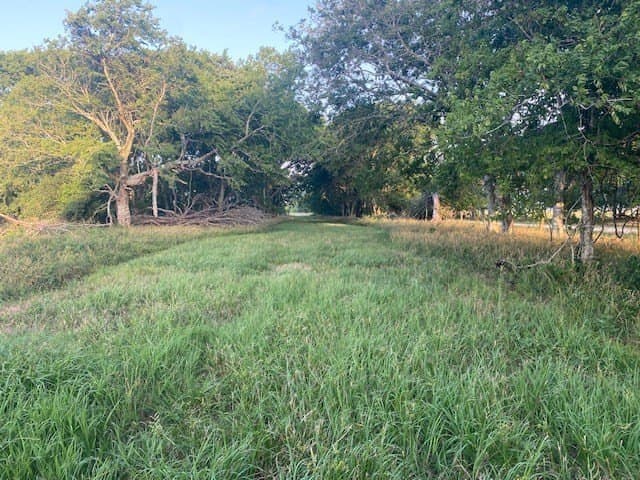 481.1 acres in Texas County - photo 15