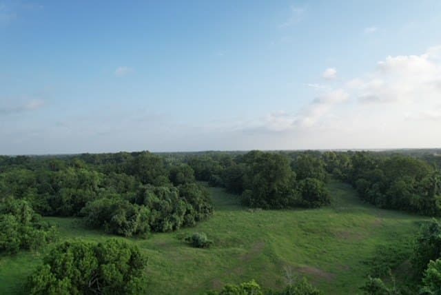 481.1 acres in Texas County - photo 48