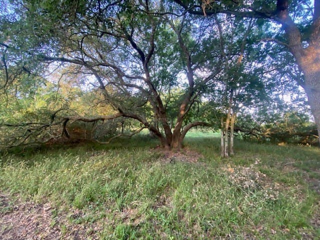 481.1 acres in Texas County - photo 21