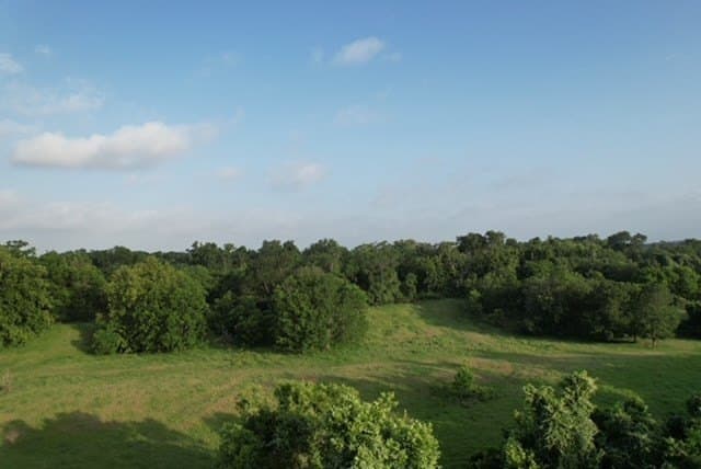 481.1 acres in Texas County - photo 44