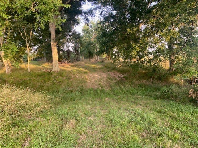 481.1 acres in Texas County - photo 17