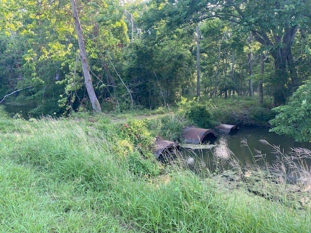 481.1 acres in Texas County - photo 55