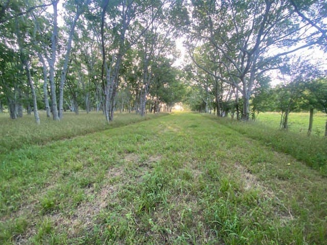 481.1 acres in Texas County - photo 27
