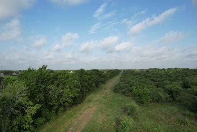 481.1 acres in Texas County - photo 63